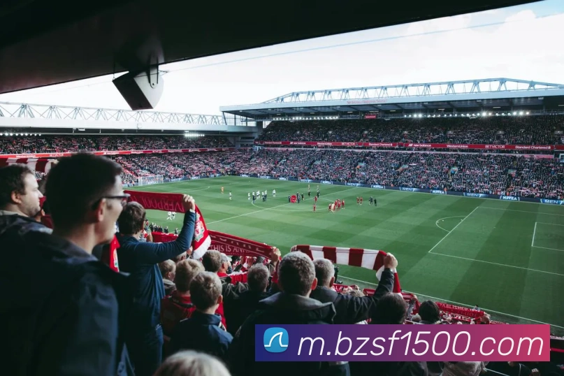 500彩票平台生态图